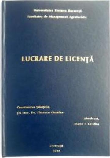 lucrari licenta verificare continut